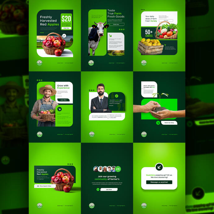 AgroFarm Creative Branding Concept Goal : Develop a strong visual identity that reflects the values of natural farming, freshness, and trust, while making the brand feel more modern and market ready.